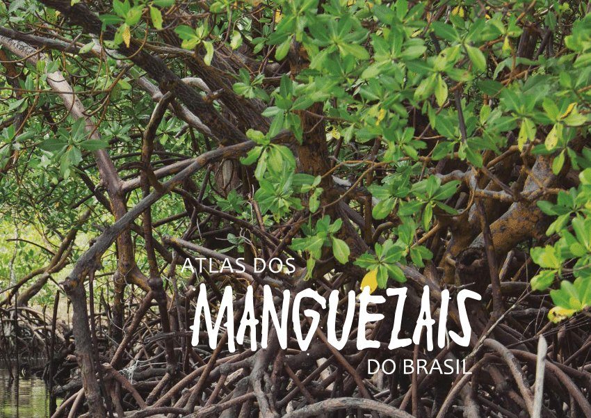 Atlas dos Manguezais do Brasil cover