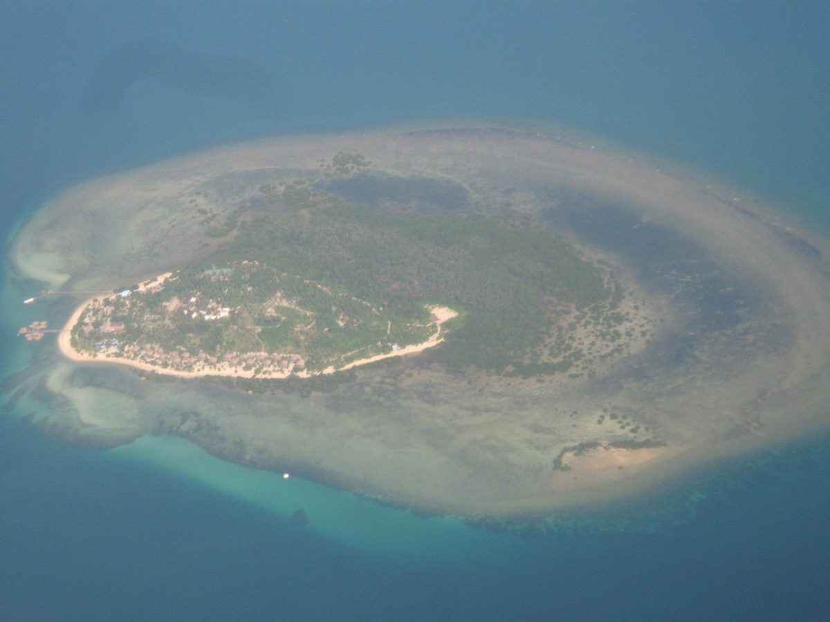 Mangrove site in Palawan, Philippines