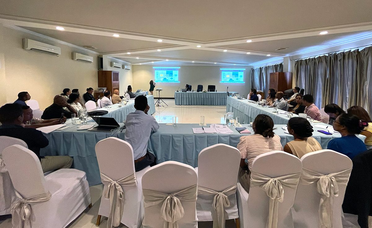 Policy and advisory work