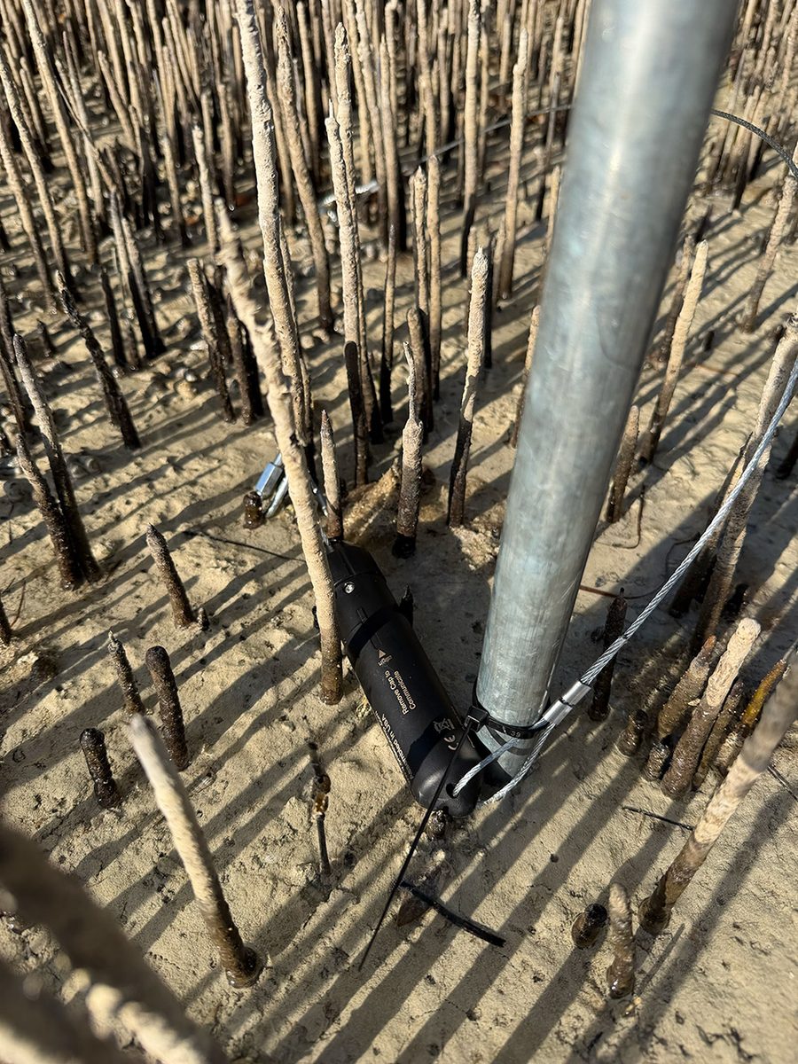 Field survey