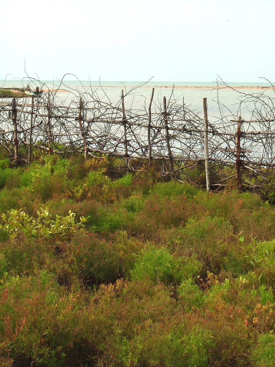 Restoration in Tamil Nadu, India