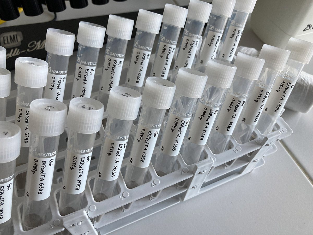 Sediment samples in the lab