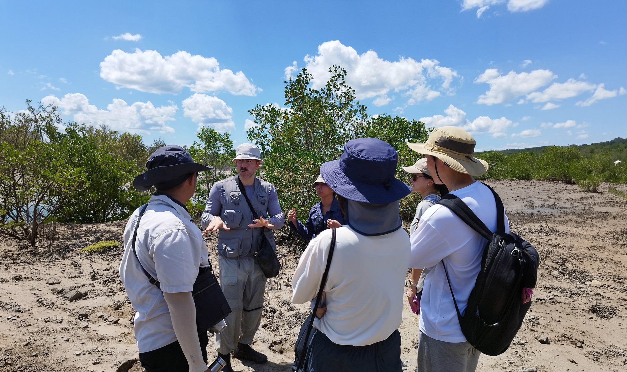Leading a field teaching group among mangroves